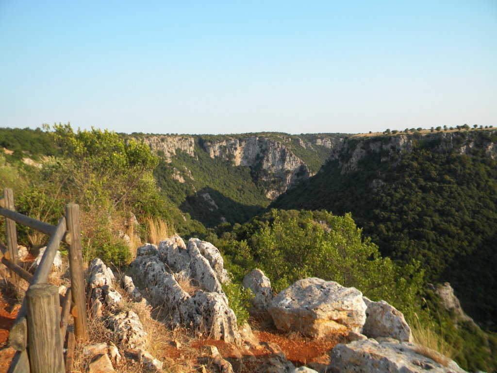 DSCN2644 .JPG